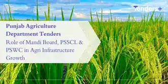 Punjab Agriculture Department Tenders: Role of Mandi Board, PSSCL & PSWC in Agri Infrastructure Growth