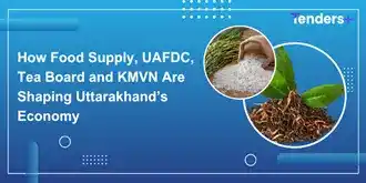 How Food Supply, UAFDC, Tea Board and KMVN Are Shaping Uttarakhand’s Economy
